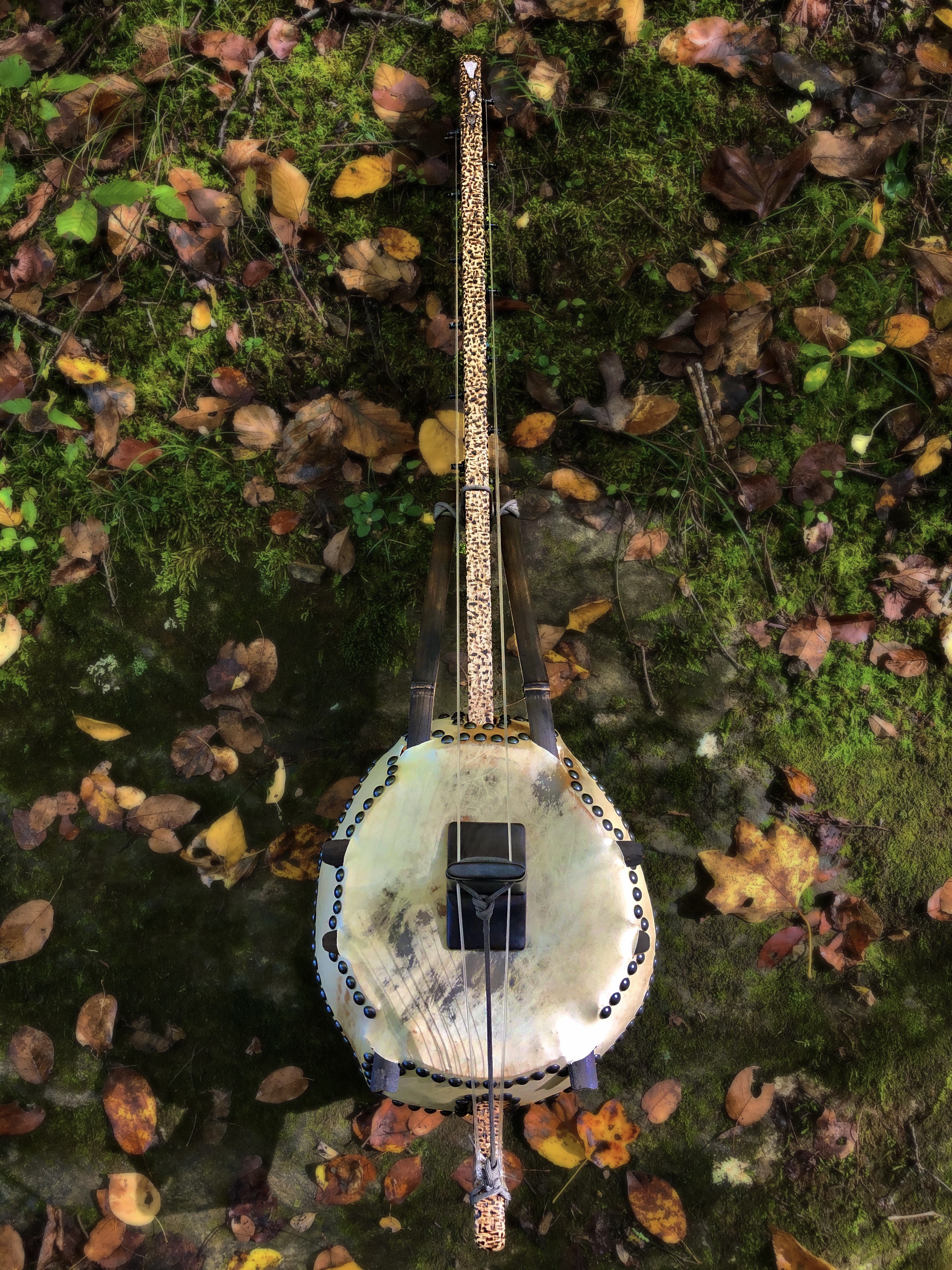 Sri Yantra N'goni in the leaves, by Bryan Anthony Vallone